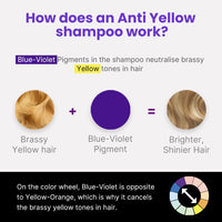 2.Oh! Italian Anti Yellow Shampoo | Purple Shampoo for Coloured, Highlighted, Blonde Hair | Neutralising Hair Toner for Bleached Hair | Blue Shampoo for Grey Hair | With Argan Oil for Dry Frizzy Hair