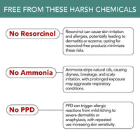 Paradyes Black Cherry Timeless Hair Tint, Permanent Crème Hair Colour for Natural-Looking Results, Complete Grey Coverage, Long-Lasting Formula Free from PPD, Ammonia, & Resorcinol, 3.6 Black Cherry