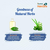 Himalaya Anti Hair Fall Shampoo with Bringaraja, 1000 ml and Himalaya Anti Dandruff Shampoo, 700ml