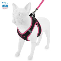 Voyager Step-in Air All Weather Mesh Harness and Reflective Dog 5 ft Leash Combo with Neoprene Handle, for Small, Medium and Large Breed Puppies by Best Pet Supplies - Black/Pink Trim, Small Harness Leash Bundle (Black/Pink Trim) S (Chest: 14.5 - 16