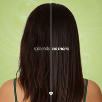 lovelang Avocado + Ceramide Shampoo | Damage Repair & Moisture Lock | for Dry, Brittle Hair | Fruity Avocado Scent | 230ml