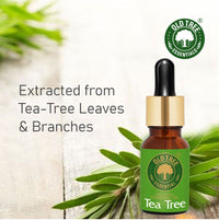 Old Tree 100% Pure & Natural Tea Tree Essential Oil for Skin, Diffusers, Hair, Body, Acne, & Nail care | Premium Therapeutic Grade Tea Tree Oil for Aromatherapy, Stress relief - 30 ml