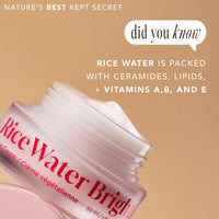 The Face Shop Rice Water Bright Vegan Cream with Ceramide, Niacinamide & Hyaluronic Acid | Brightens Skin, Fades Blemishes & Acne Marks | Korean Skin Care | 50ml