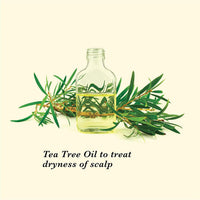 TRue FRoG Anti Dandruff Shampoo for Dry and Frizzy Hair with Black pepper Fruit, Inga Bark Extract and Tea Tree Oil - 250 ml