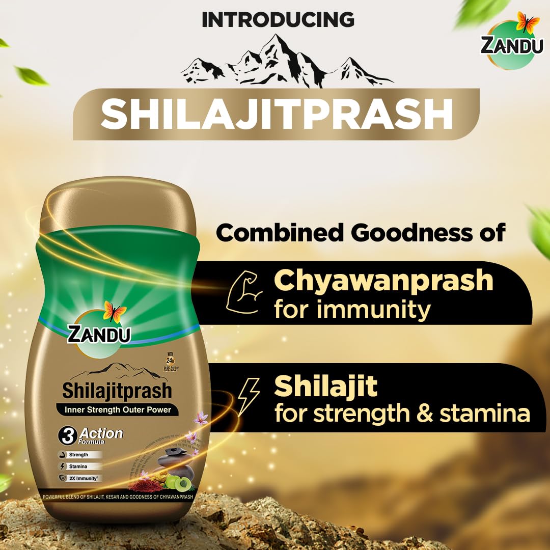 Zandu Shilajitprash, combination of Shilajit and selected herbs of Chyawanpash, a powerhouse of 47 potent Ayurvedic herbs | 3 Action formula to boost strength, stamina & immunity | 900 Gm
