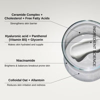 The Formularx Barrier Relief Ceramide Lightweight Moisturizer With Niacinamide & Hyaluronic Acid | For Oily, Combination, Dehydrated, Acne Prone, Sensitive Skin | 50 Gram