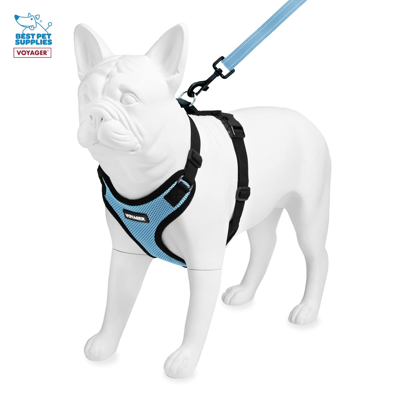 Voyager Step-in Lock Dog Harness w Reflective Dog Leash Combo Set with Neoprene Handle 5ft - Supports Small, Medium and Large Breed Puppies/Cats by Best Pet Supplies - Baby Blue/Black Trim, S Harness Leash Set (Baby Blue/Black Trim) S (Chest: 15 - 18")