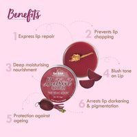 Nat Habit Lip Balm Fresh Beetroot Crush 10gm Lip Butter With Desi Ghee & Raw Honey For Natural Pink Lips, Nourishment, Dark And Chapped Lips - (Pack of 1)