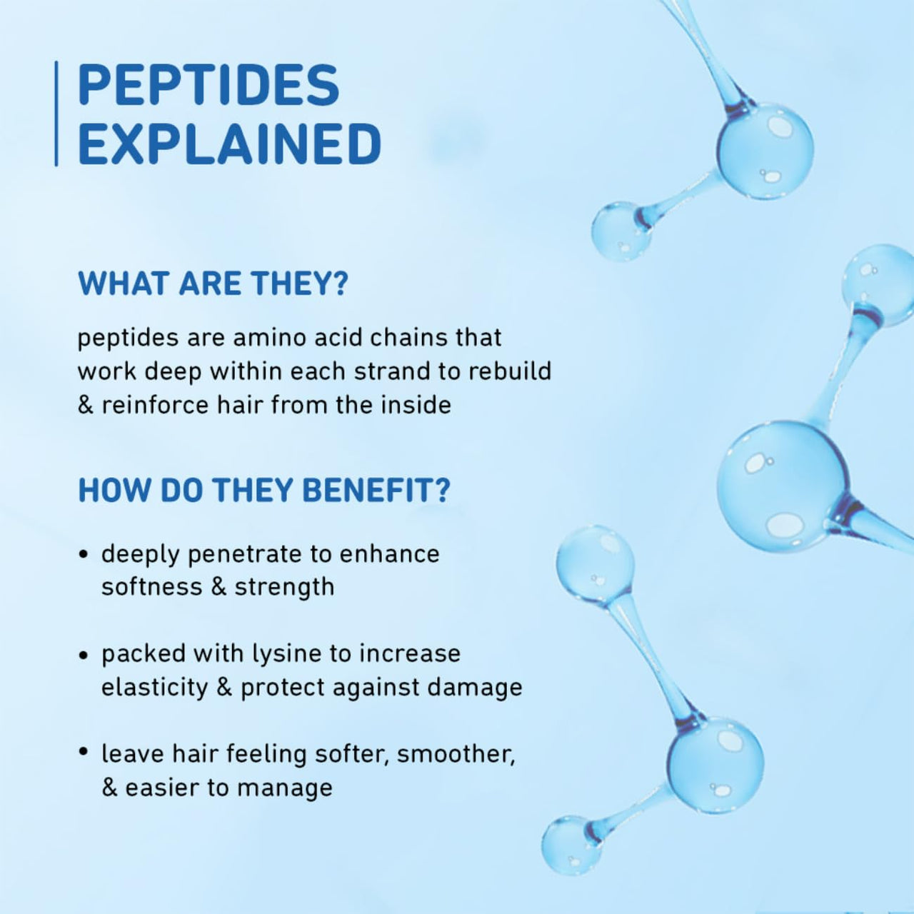 Plum Coconut Shampoo for Dull Hair with Coconut Milk and Peptides for Strong & Shiny Hair I 22x shine I Soft, silky hair I Shampoo for Women and Men | SLS sulphate and paraben free shampoo I 250ml (Pack of 2)