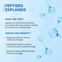 Plum Coconut Shampoo for Dull Hair with Coconut Milk and Peptides for Strong & Shiny Hair I 22x shine I Soft, silky hair I Shampoo for Women and Men | SLS sulphate and paraben free shampoo I 250ml (Pack of 2)