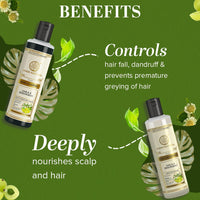 Khadi Natural Amla & Bhringraj Hair Shampoo | Anti-Dandruff Shampoo | Ayurvedic Shampoo for Hair Growth | SLS & Paraben-Free | Suitable for All Hair Types | Pack of 2 (210ml *2) (420ml)