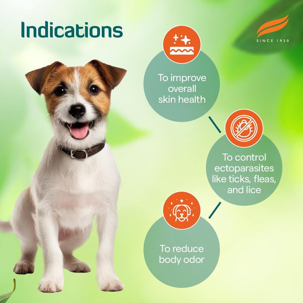 Himalaya Erina-EP Powder for Dogs and Cats | Neem & Eucalyptus Formula | Controls Ticks & Fleas | Soothes Skin Irritation |150 g