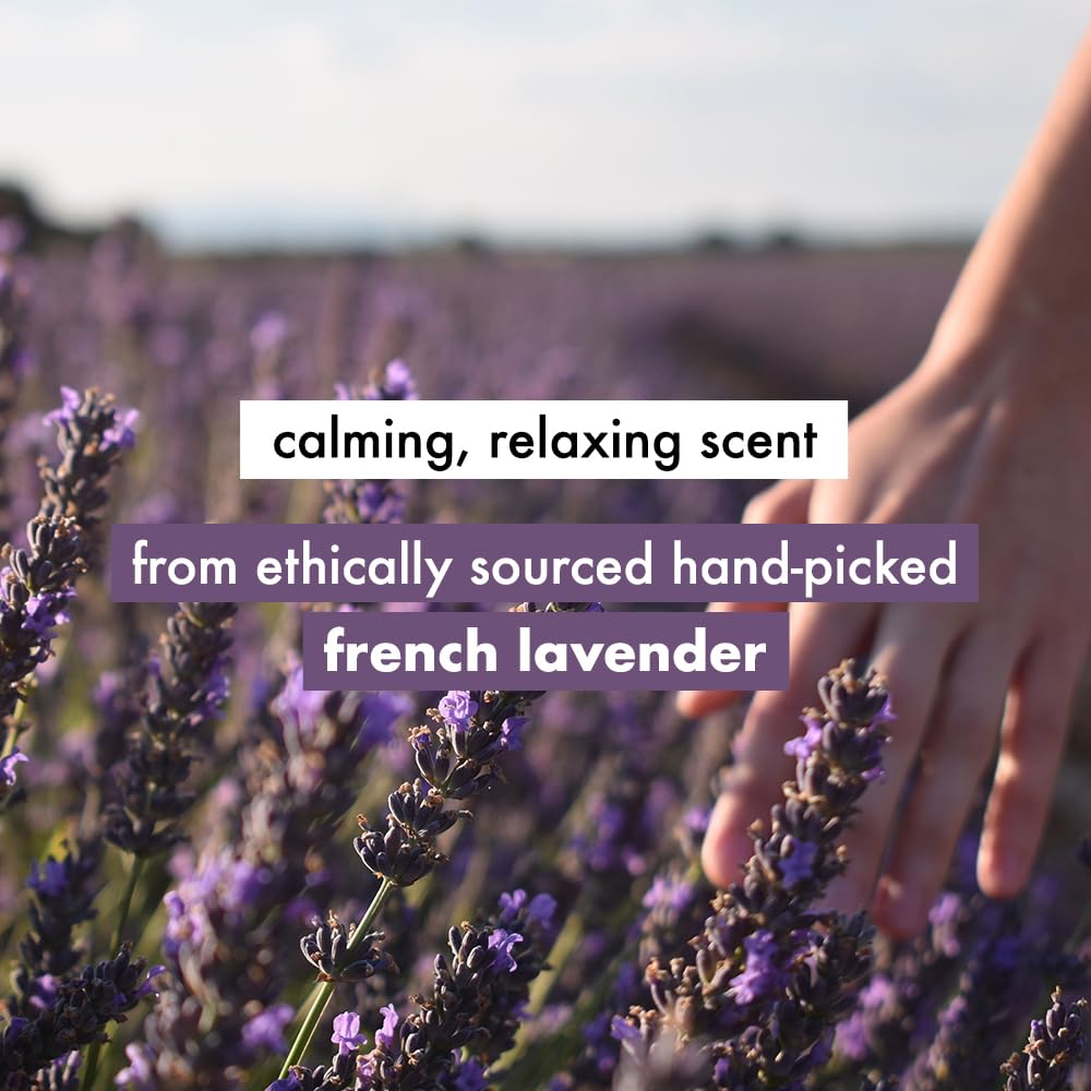 Love Beauty & Planet Argan Oil And Lavender Paraben Free Smooth And Serene Conditioner||No Parabens|| No Dyes, 200 Millilitre