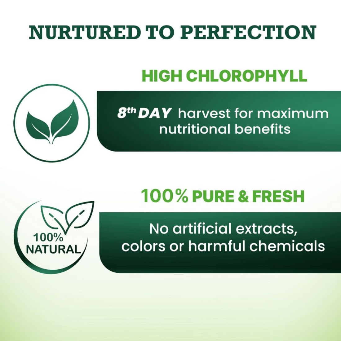 Vansaar Wheatgrass Juice, 500 ml | Natural Liver detox & Gut cleanser Juice | Superfood for Weight & Cholesterol management | 100% Ayurvedic