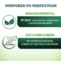 Vansaar Wheatgrass Juice, 500 ml | Natural Liver detox & Gut cleanser Juice | Superfood for Weight & Cholesterol management | 100% Ayurvedic