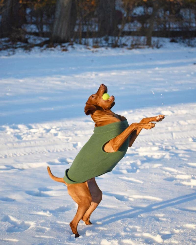 Gooby Stretch Fleece Vest Dog Sweater - Sand, 6X-Large - Warm Pullover Fleece Dog Jacket - Winter Dog Clothes for Small Dogs Boy or Girl - Dog Sweaters for Small Dogs to Dog Sweaters for Large Dogs 6X-Large Length (27.5")