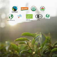 Makaibari Holiday Edition : Apple Cinnamon Black Tea | Usda Certified Premium Black Tea | Anti-Oxidants, Immunity Booster | Tin Caddy, Loose Leaves - 50 Gm