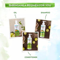 Mamaearth BhringAmla Shampoo for dry & frizzy hair with Bhringraj & Amla for Intense Hair Treatment – 250 ml