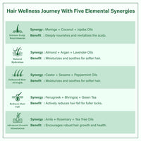 Singular Ever Guard Hair Oil for Men & Women | Hair Growth & Hair Fall Control | Cold-Pressed Blend of Argan, Almond, Bhringraj, Rosemary Oil & Vitamin E (200 ml)