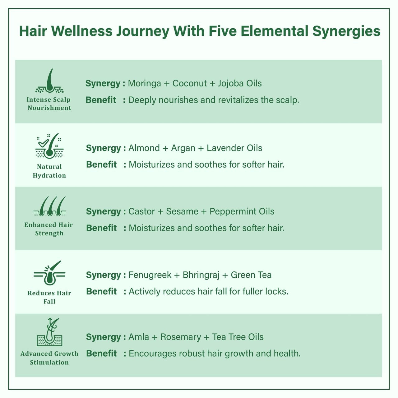 Singular Ever Guard Hair Oil for Healthy Scalp & Promoting Hair Growth | Pure & Natural Cold Pressed Oil Infused with Nature's Best Almond, Amla, Bhringraj, Coconut, Fenugreek, Jojoba, Rosemary Oil with Vitamin E | Ideal for Protecting & Maintaining of He