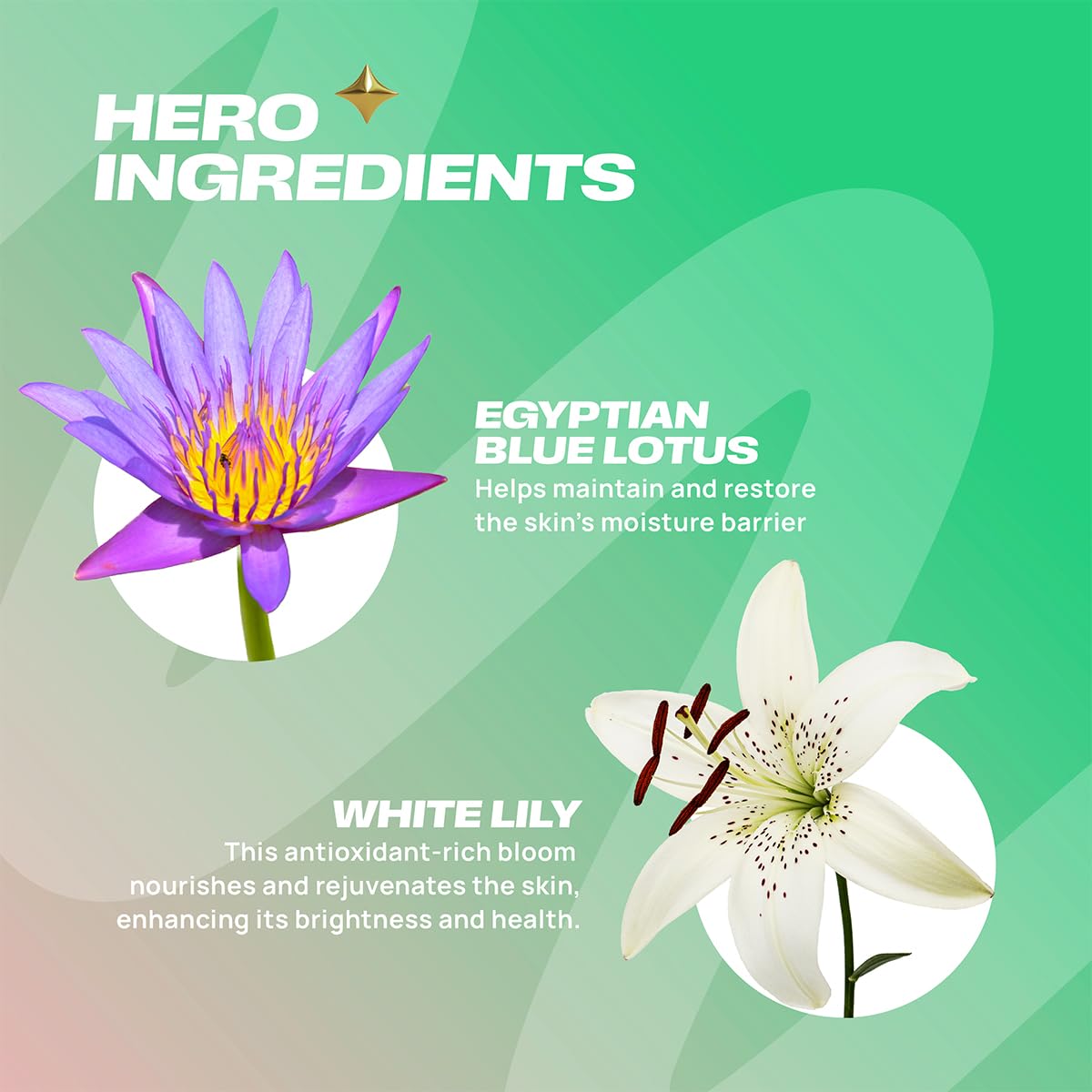 Sammmm Fresh-Af Purifying Foaming Cleanser, Face Wash for Deep Cleaning, with Blue Lotus & White Lily, 100g/3.53 oz, Creamy Foaming Texture