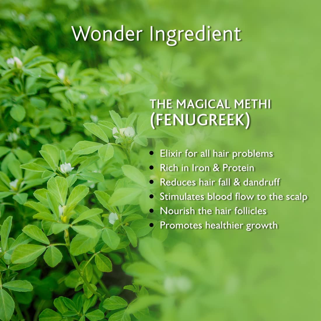 Manestream Fenugrow Hairfall Control Conditioner for Men & Women, Ayurvedic Natural Treatment with Fenugreek & Onion for Hair Loss & Gives Strength, 250 ml