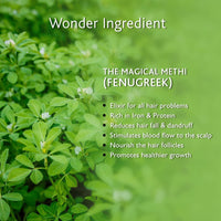 Manestream Fenugrow Hairfall Control Conditioner for Men & Women, Ayurvedic Natural Treatment with Fenugreek & Onion for Hair Loss & Gives Strength, 250 ml