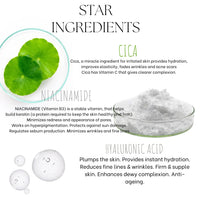 EcoBerry Centella Asiatica (CICA) Niacinamide Glow Essence With Hyaluronic Acid, Oil Free Essence, Moisturizer, Anti-Aging, Brightens Skin, Natural & Handmade, Chemical Free, Paraben Free, Vegan
