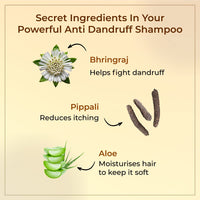 Vedix Taritha Anti Dandruff Shampoo For Women | No Sulphate Ayurvedic Shampoo For Normal Oily Hair | 100 ml