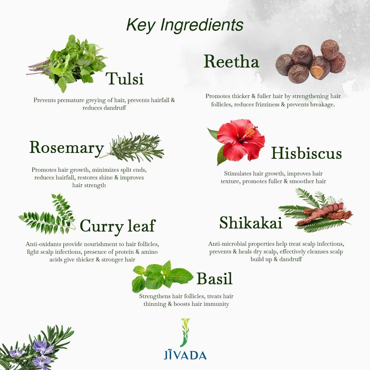 JIVADA Anti-Dandruff & Hairfall Cleanser | Soothes Itchy Scalp & Redness | Controls Hair Thinning | Curry Leaf, Rosemary, Shikakai, Basil | Dermatologically Tested | Sulphate & Paraben Free | 100ml