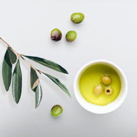 Eco Styler Olive Oil Styling Gel (8 fl. oz.)