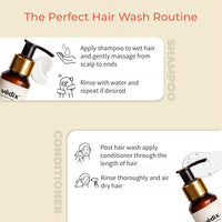 Vedix Shampoo and Conditioner Combo| Vikleda Shampoo For Dry Hair + No Frizz Hair Conditioner | Ayurvedic Shampoo & Conditioner | 100 ml + 100 ml