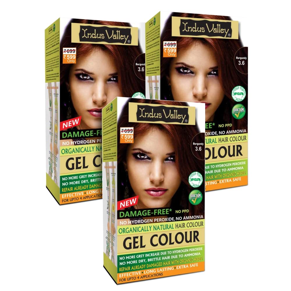 INDUS VALLEY Ammonia Free Natural Semi-Permanent Gel Hair Colour Burgundy 3.6 for Men & Women with 100% Grey Coverage & Long Lasting -220GM (pack of 3)