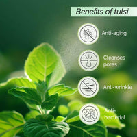 PYOURA Tulsi Anti Wrinkle Glowing Skin Face Mist 100 ml, Anti-Aging Natural Face Serum, Toner For Open Pores Tightening, Instantly Hydrates and Freshens, Toner For Dry Oily Combination Skin