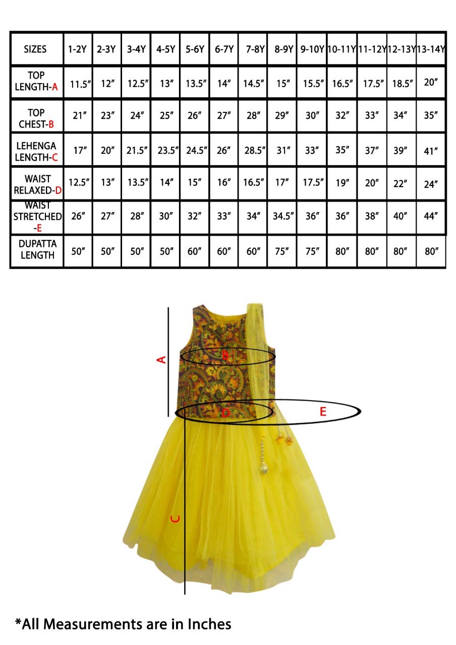 A.T.U.N Girls Lehenga Choli
