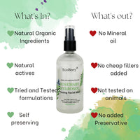 EcoBerry Pure Steam Distilled Rosemary Hydrosol Toning Facial Mist Unblocks Pores, Improves Skin Tone, Promotes Healthy Hair, Reduces Grey Hair & Dandruff,100% Preservative Free, Natural, Vegan