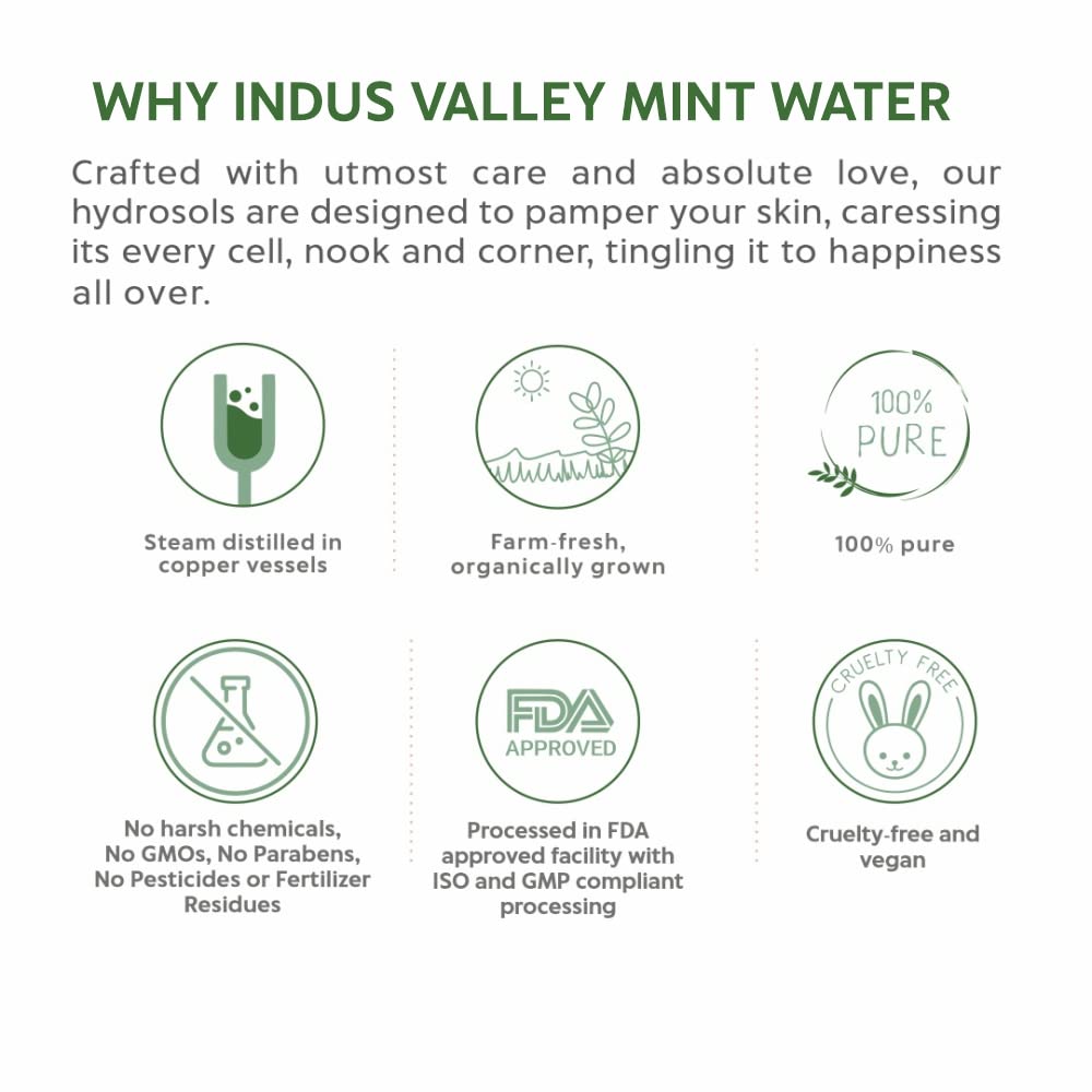 INDUS VALLEY Natural Mint Water Facial Toner - Chemical Free - 250 ml