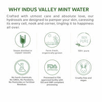 INDUS VALLEY Natural Mint Water Facial Toner - Chemical Free - 250 ml
