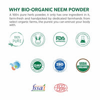 INDUS VALLEY Neem Powder | Azadirachta indica - 100% Organic & Chemical Free Hair Cleanser For Healthy Hair - (100g x 3 =300g) Set Of 3