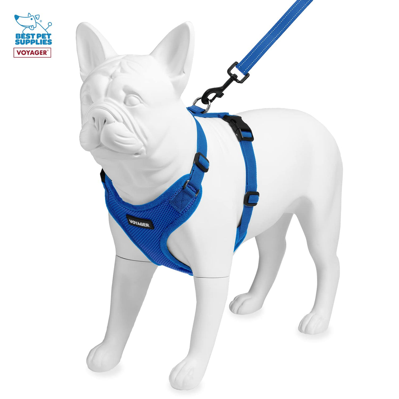 Voyager Step-in Lock Dog Harness w Reflective Dog Leash Combo Set with Neoprene Handle 5ft - Supports Small, Medium and Large Breed Puppies/Cats by Best Pet Supplies - Royal Blue, XS