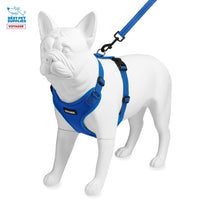 Voyager Step-in Lock Dog Harness w Reflective Dog Leash Combo Set with Neoprene Handle 5ft - Supports Small, Medium and Large Breed Puppies/Cats by Best Pet Supplies - Royal Blue, XS