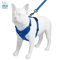 Voyager Step-in Lock Dog Harness w Reflective Dog Leash Combo Set with Neoprene Handle 5ft - Supports Small, Medium and Large Breed Puppies/Cats by Best Pet Supplies - Royal Blue, XL Harness Leash Set (Royal Blue) XL (Chest: 23 - 28