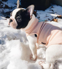 Gooby Fleece Vest Dog Sweater - Peach, Small - Warm Pullover Fleece Dog Jacket with O-Ring Leash - Winter Small Dog Sweater Coat - Cold Weather Dog Clothes for Small Dogs Boy or Girl