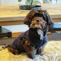 Gooby Fleece Vest Dog Sweater - Navy, X-Large - Warm Pullover Fleece Dog Jacket with O-Ring Leash - Winter Small Dog Sweater Coat - Cold Weather Dog Clothes for Small Dogs Boy or Girl X-Large (Around 23-lb)