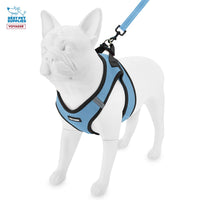 Voyager Step-in Air All Weather Mesh Harness and Reflective Dog 5 ft Leash Combo with Neoprene Handle, for Small, Medium and Large Breed Puppies by Best Pet Supplies - Baby Blue/Black Trim, XX-Small Harness Leash Bundle (Baby Blue/Black Trim)
