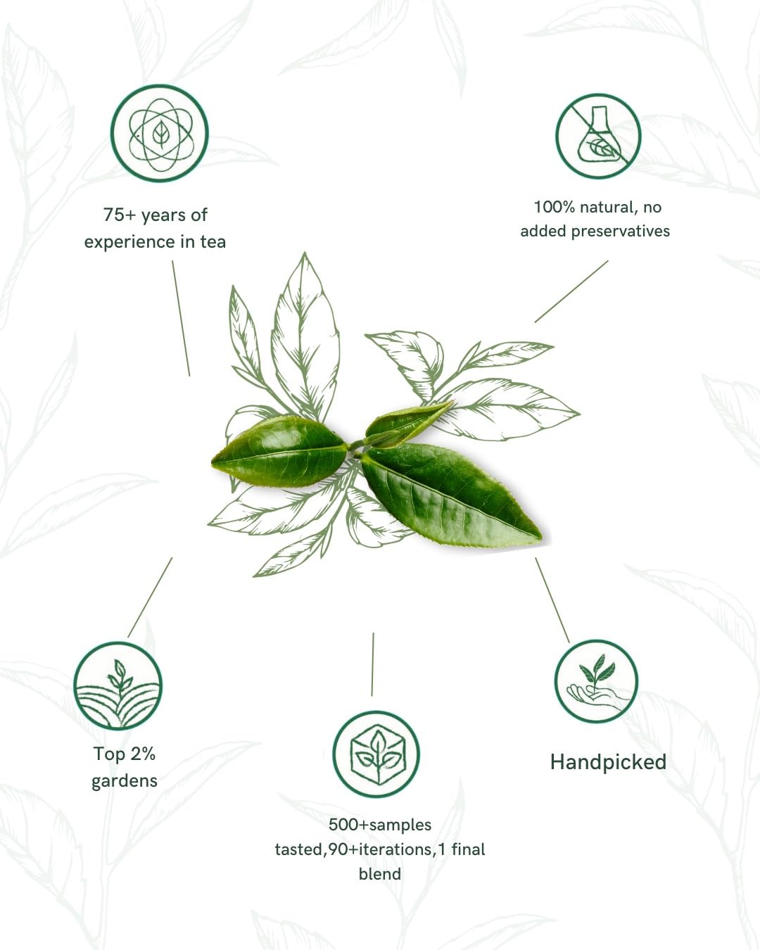 1950 Origins Royal Assam | Premium Black Tea | Kadak Chai | 100% Natural Loose Leaf Tea | Pure Assam CTC Tea Leaves | Rich, Strong & Fresh | Tin Caddy,150g