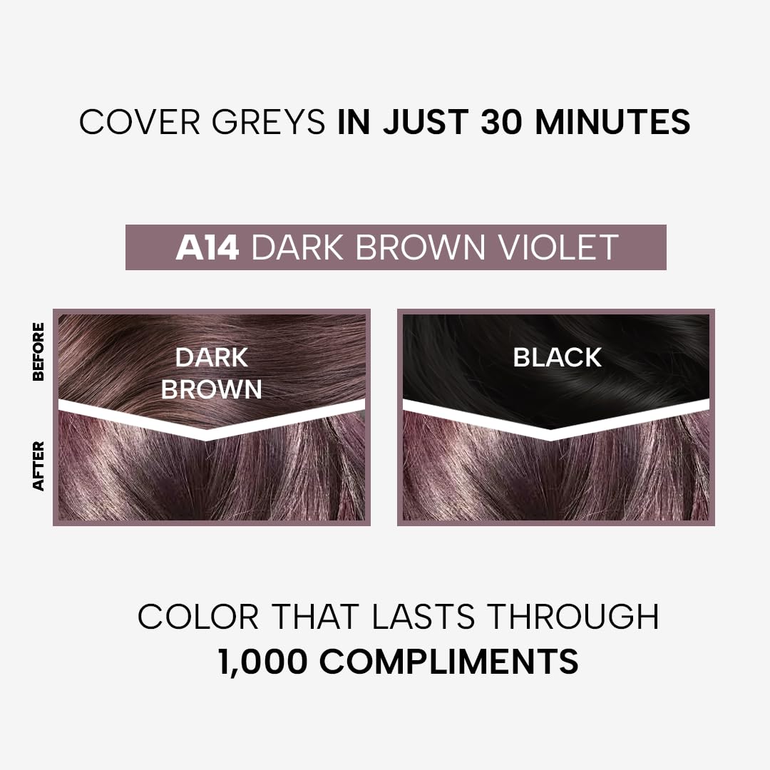 Berina Professional | Permanent Hair Color Cream | 60gm | A14 Dark Brown Violet | Long Lasting Color