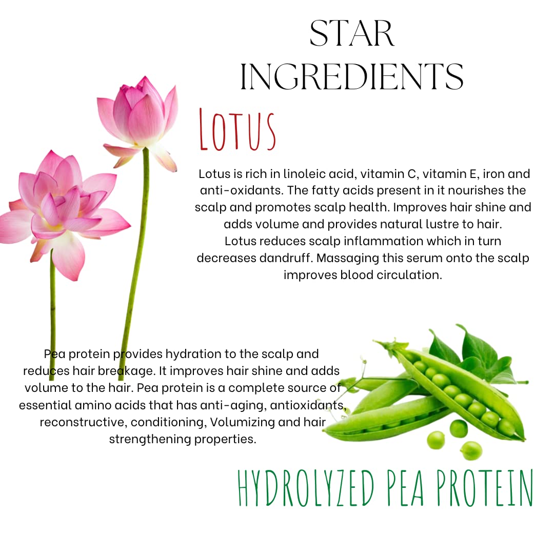 EcoBerry Lotus Hair Root Strengthening Serum For Hair Growth Men, Women, Scalp Serum Hair fall control Hair Volumizing, Water Based, Natural & Handmade, Chemical Free Silicone Free Paraben Free, Vegan