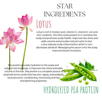 EcoBerry Lotus Hair Root Strengthening Serum For Hair Growth Men, Women, Scalp Serum Hair fall control Hair Volumizing, Water Based, Natural & Handmade, Chemical Free Silicone Free Paraben Free, Vegan