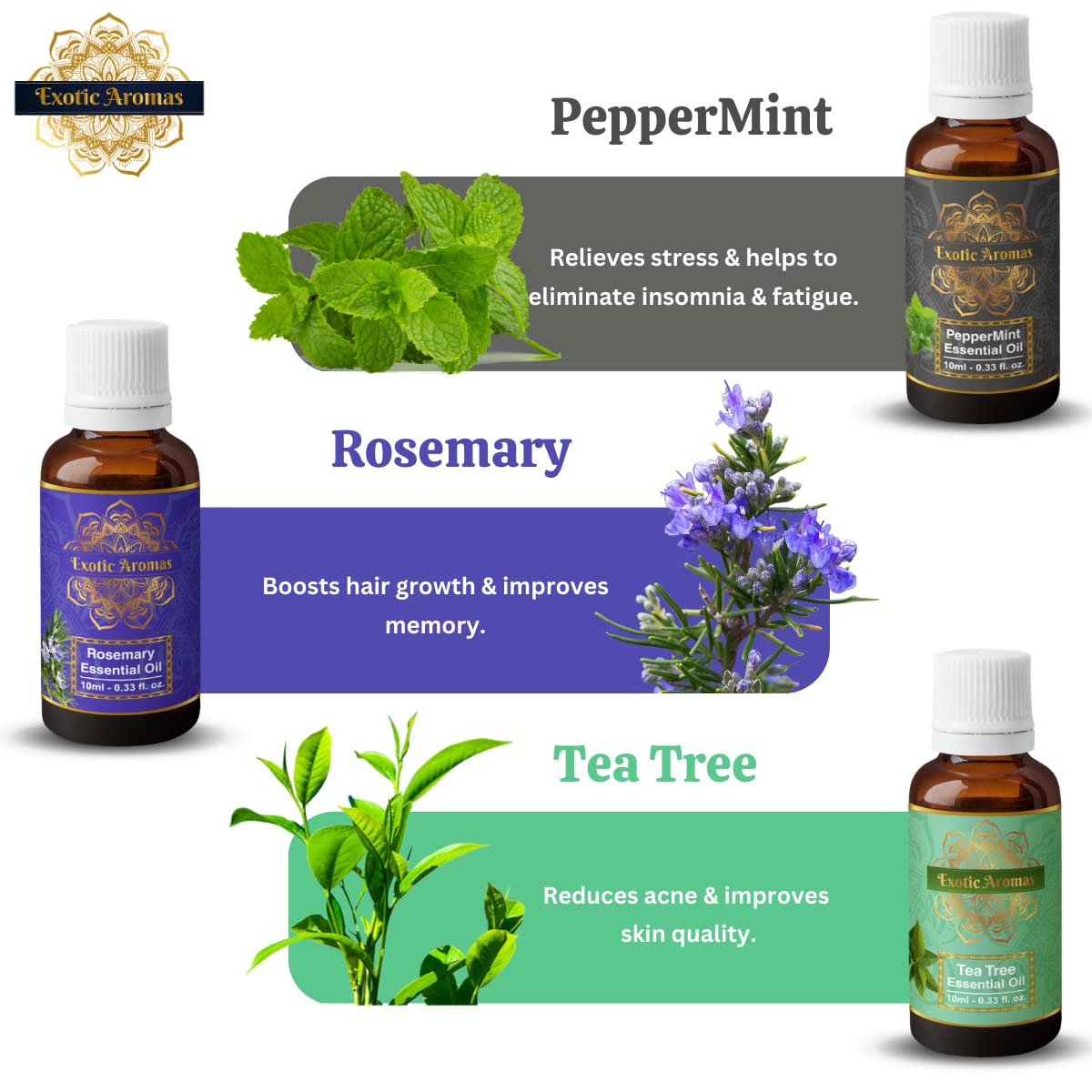 Exotic Aromas Essential Oil Lavender, Rose, Tea Tree, Jasmine, Ylang Ylang, Orange, Lemongrass, Peppermint, Rosemary, Pure & Natural (Pack of 9)